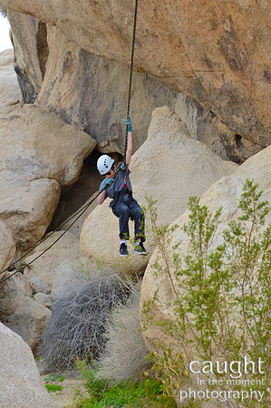 044 Joshua Tree 2017 Troop 105