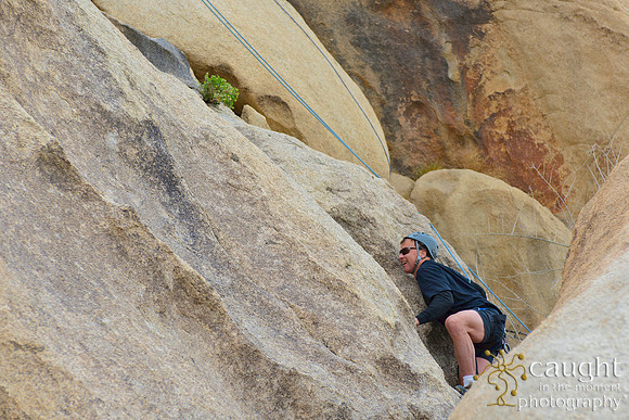 058 Joshua Tree 2017 Troop 105