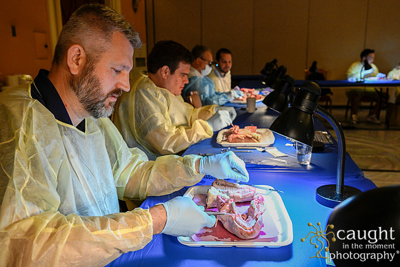 103 AGD2023 Conference Las Vegas