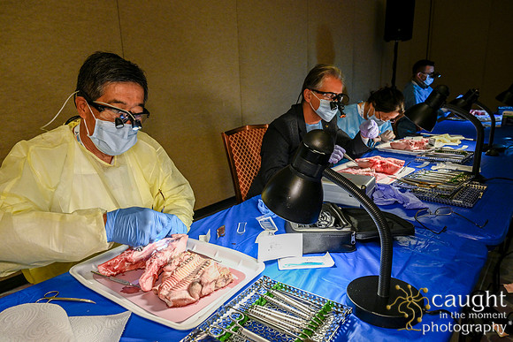 113 AGD2023 Conference Las Vegas