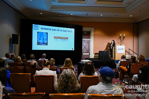 268 AGD2023 Conference Las Vegas