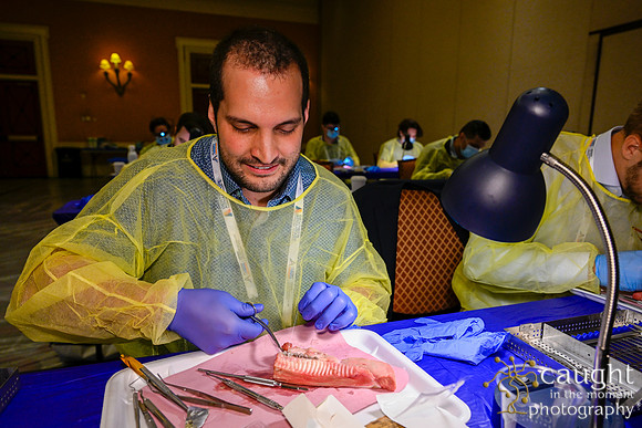 332 AGD2023 Conference Las Vegas