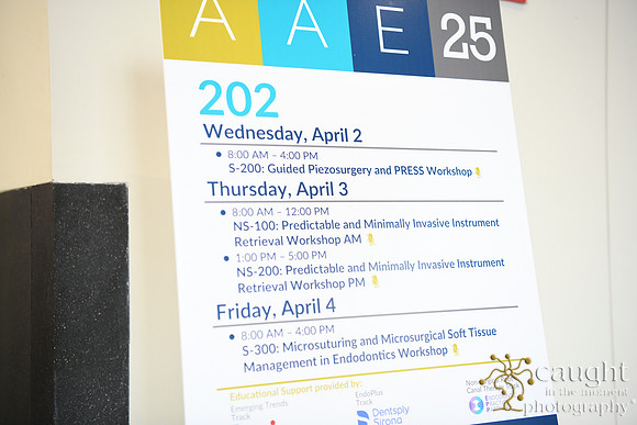 388 AAE 2025 in Boston - Hands-On Courses