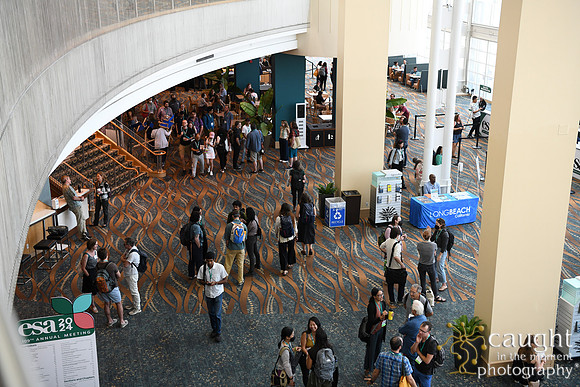018 ESA 2024 in Long Beach