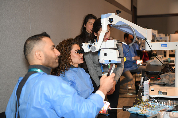 382 AAE 2025 in Boston - Hands-On Courses