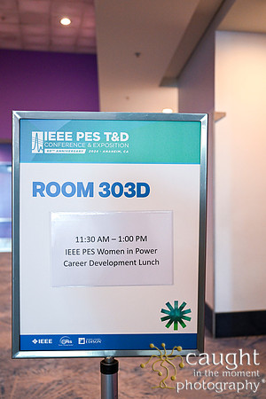 1213 IEEE PES TandD Anaheim 2024