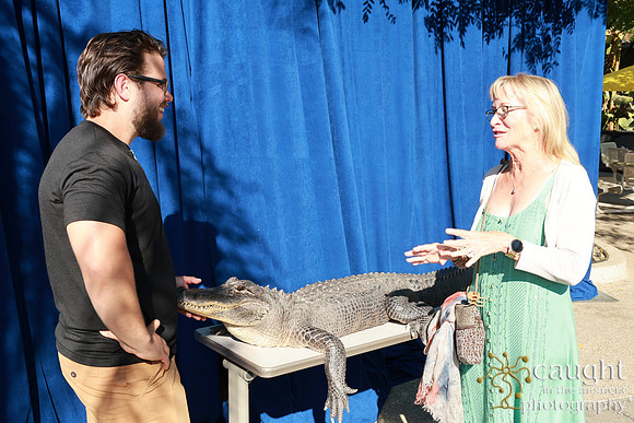 049 Aquarium of the Pacific Blue Whale Gala and After Party 2025
