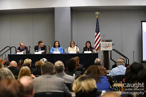 606 NACo 2025 Leg-Sunday-Federal Immigration Policy