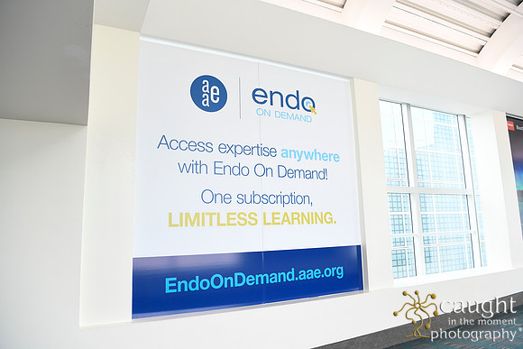 114 AAE 2024 in Los Angeles - Registration & Signage