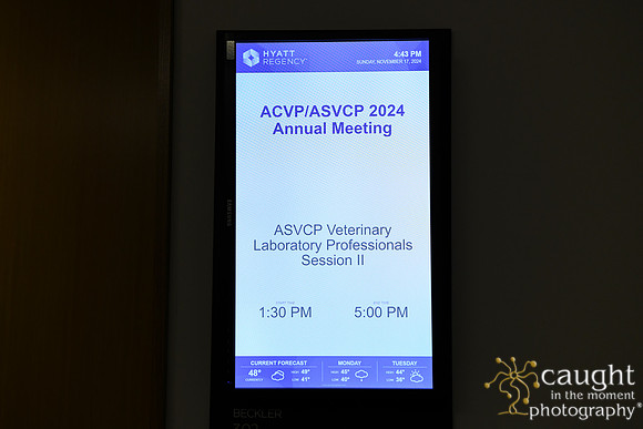179 ACVP 2024 in Seattle