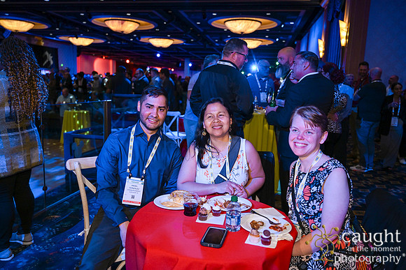 180 IEEE PES TandD Anaheim 2024