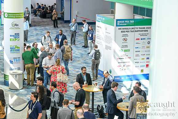 839 IEEE PES TandD Anaheim 2024