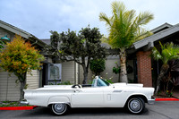 209 Steel Magnolias Copa Havana 2025