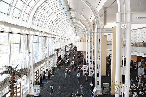 023 ESA 2024 in Long Beach
