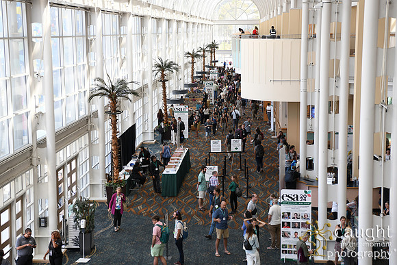024 ESA 2024 in Long Beach