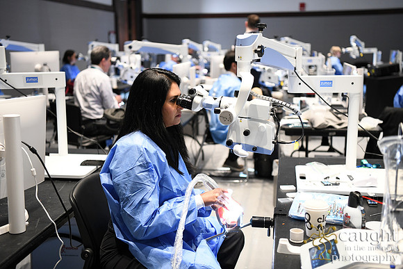 379 AAE 2025 in Boston - Hands-On Courses