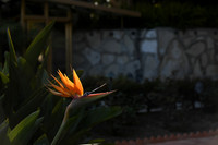 115 Castellon Wedding at Wayfarers Chapel and Long Beach Museum of Art