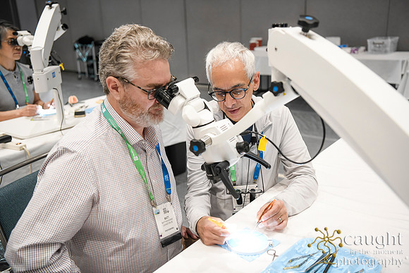 597 AAE 2024 in Los Angeles - Hand-On Sessions