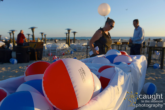 073 Dermatology Forum for Veterinarians 2014 Hotel del Coronado