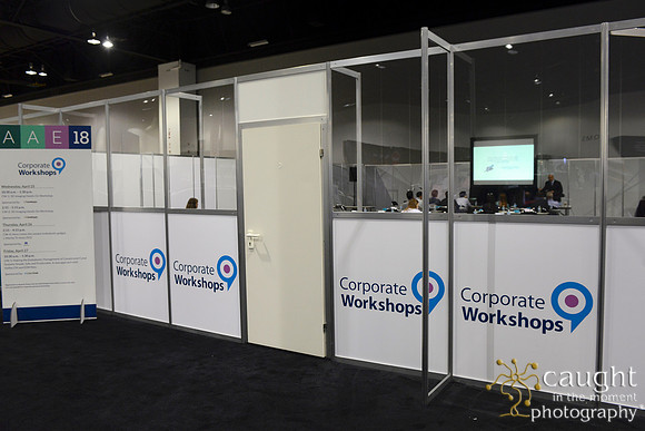 439 AAE 2018 in Denver-Corporate Workshops & Lectures