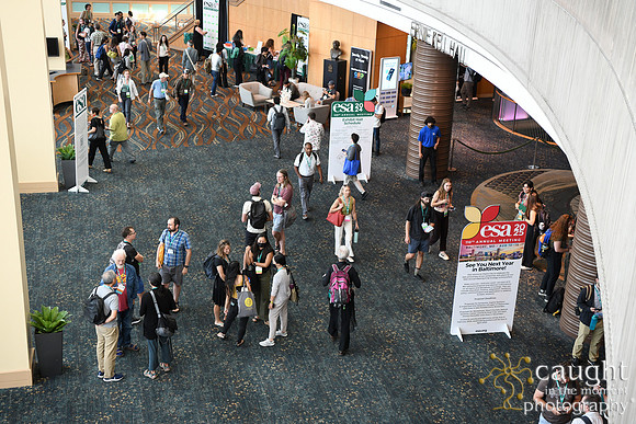 027 ESA 2024 in Long Beach