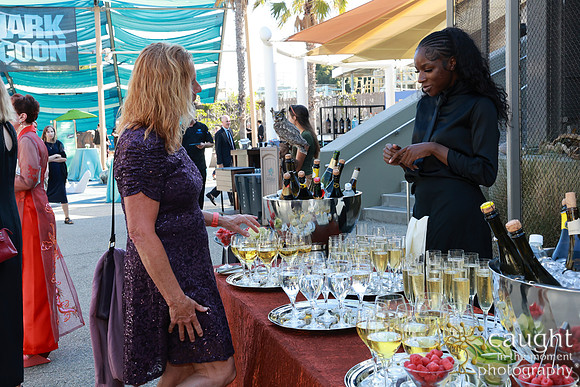 023 Aquarium of the Pacific Blue Whale Gala and After Party 2025