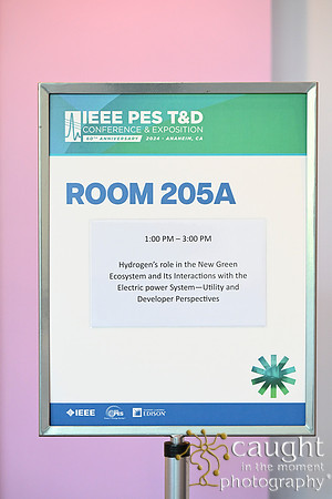 1594 IEEE PES TandD Anaheim 2024