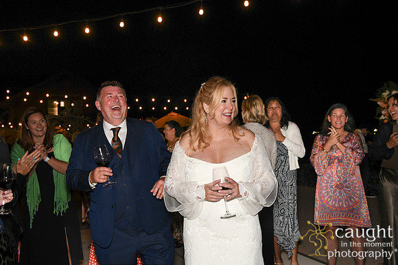 559 Brasche Packman Wedding at Long Beach Museum of Art