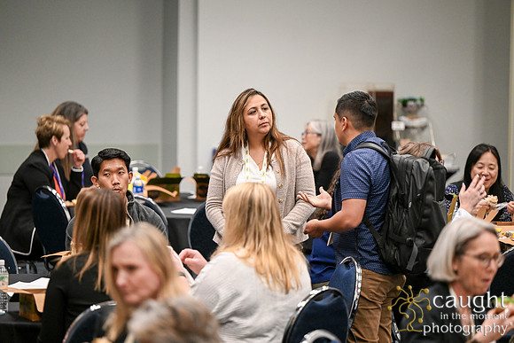 1233 IEEE PES TandD Anaheim 2024