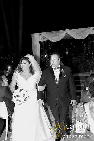 287 Hotel Maya Wedding