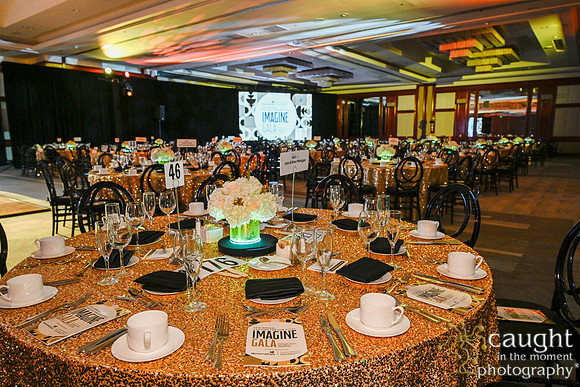 052 Imagine Gala 2024
