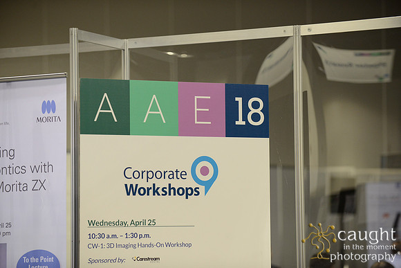 428 AAE 2018 in Denver-Corporate Workshops & Lectures
