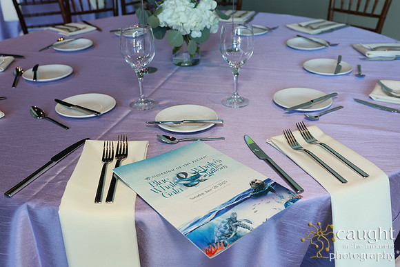 007 Aquarium of the Pacific Blue Whale Gala and After Party 2025