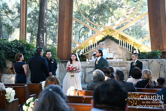 312 Castellon Wedding at Wayfarers Chapel and Long Beach Museum of Art