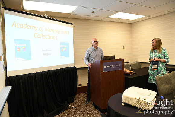 459 AOM 2024 AMC Sessions