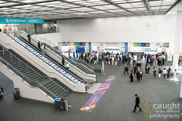 040 AAE 2024 in Los Angeles - Registration & Signage