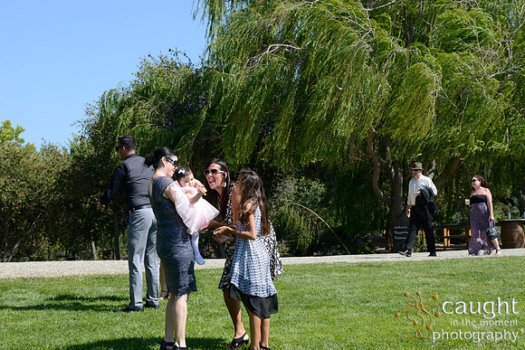 225 Solvang Wedding