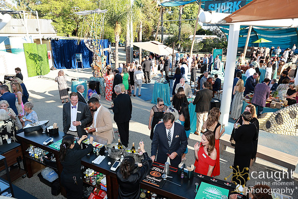 106 Aquarium of the Pacific Blue Whale Gala and After Party 2025
