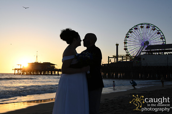 255 Martinelli Wedding at Santa Monica Pier
