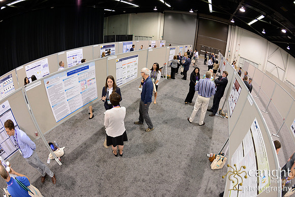 1089 OMED 2016-Posters & Awards