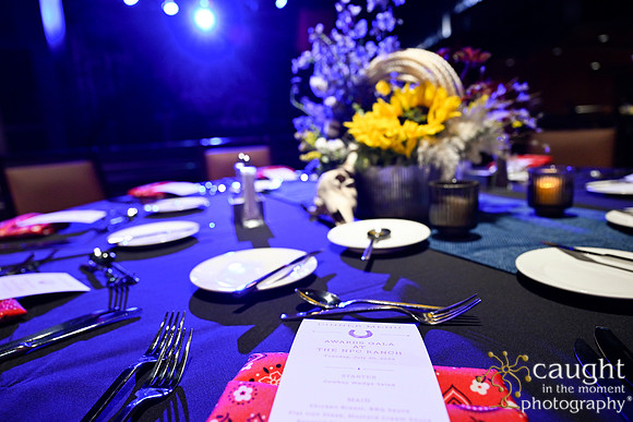 007 NPC Ranch Awards Gala 2024 Phoenix