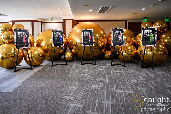 021 Imagine Gala 2024