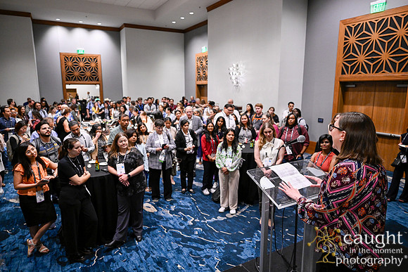976 IEEE PES General Meeting 2025 Austin