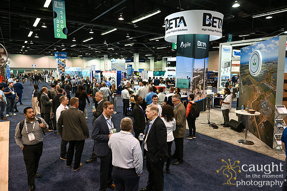 021 IEEE PES T&D 2024-Beta