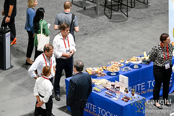 246 APEX IFSA GlobalExpo