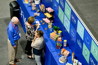 256 APEX IFSA GlobalExpo
