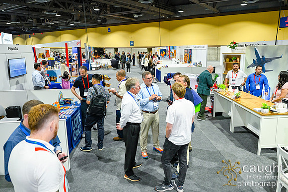 293 APEX IFSA GlobalExpo