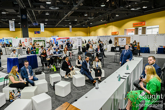 487 APEX IFSA GlobalExpo