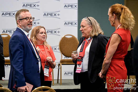 1328 APEX IFSA GlobalExpo