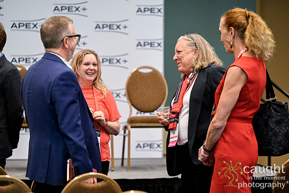 1327 APEX IFSA GlobalExpo